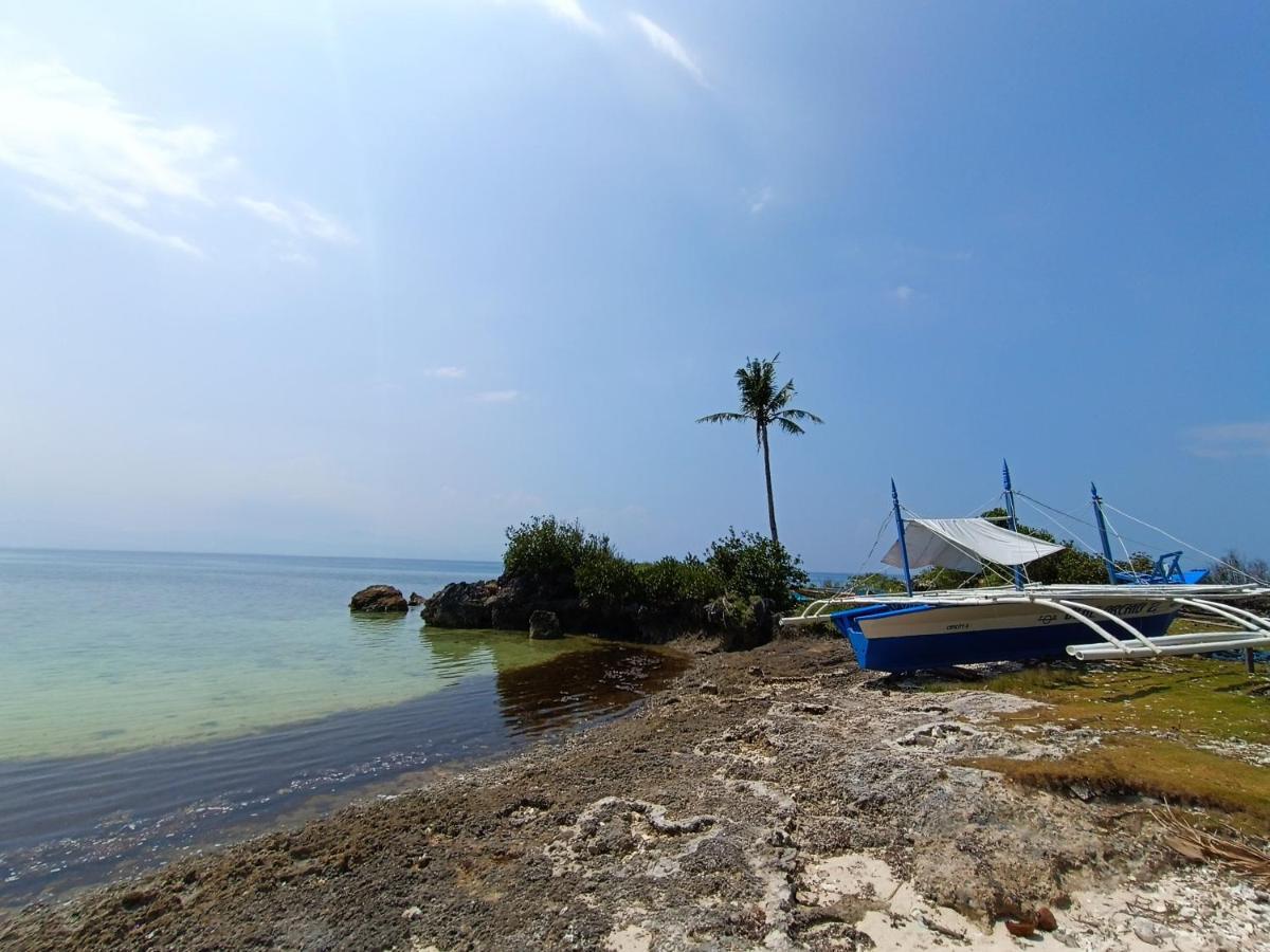 The Wild Orchid Resort - Moalboal Εξωτερικό φωτογραφία