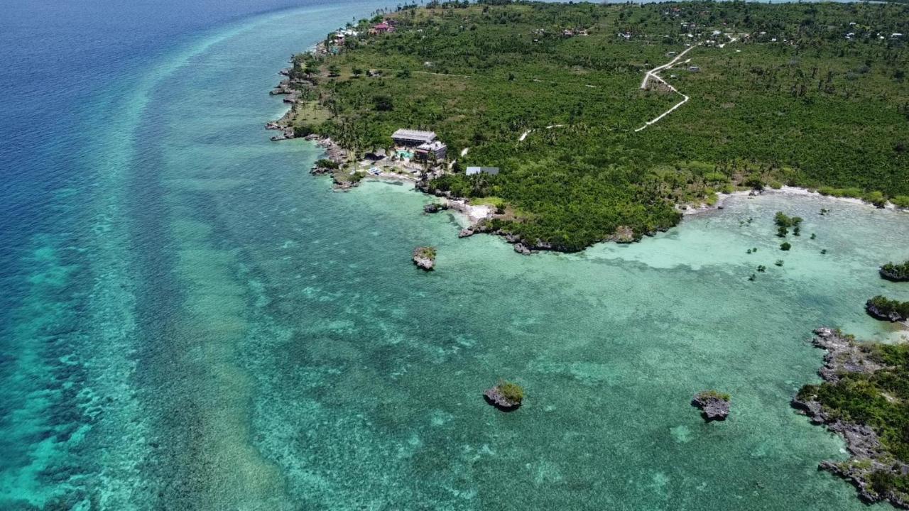The Wild Orchid Resort - Moalboal Εξωτερικό φωτογραφία