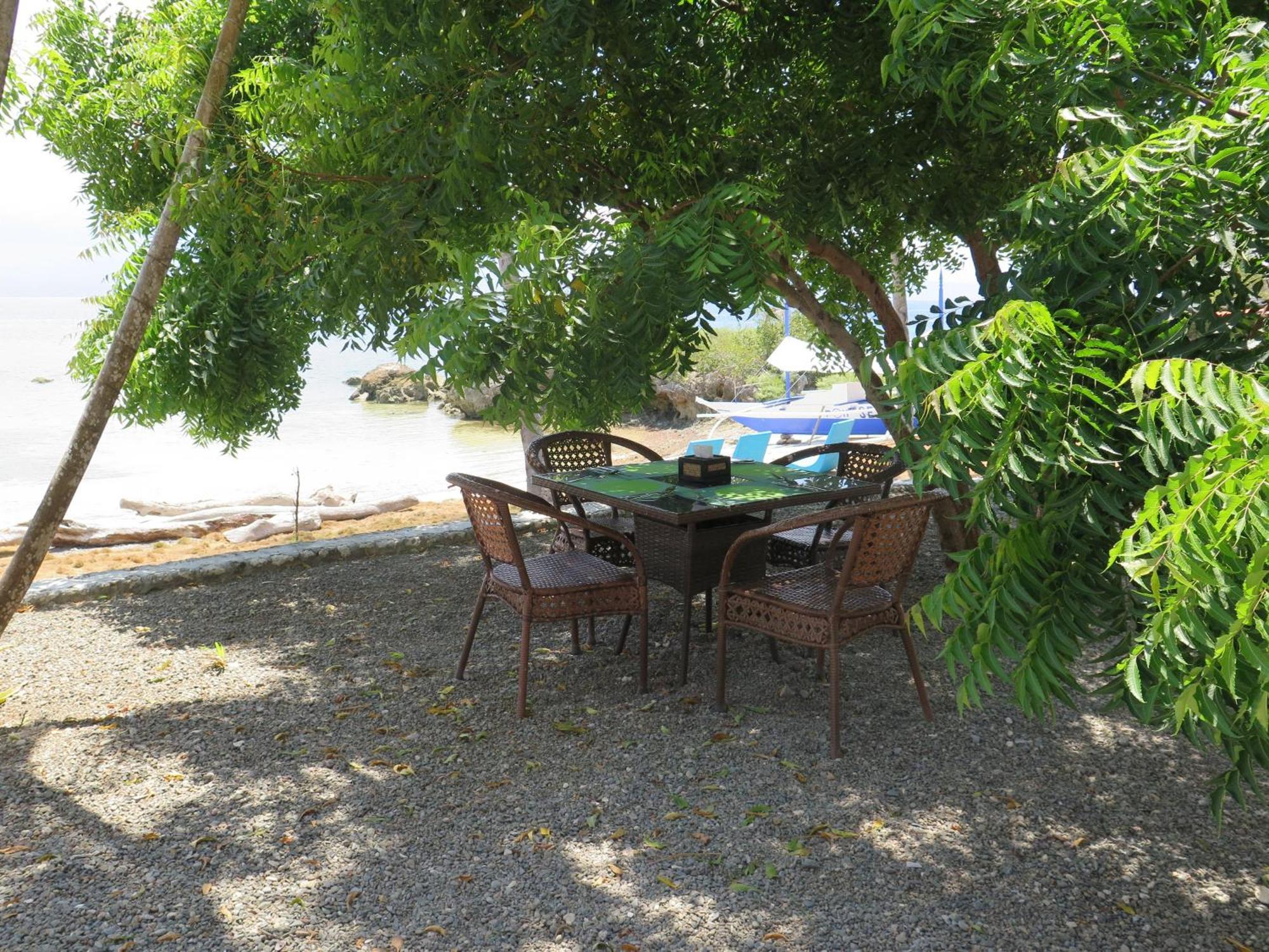 The Wild Orchid Resort - Moalboal Εξωτερικό φωτογραφία