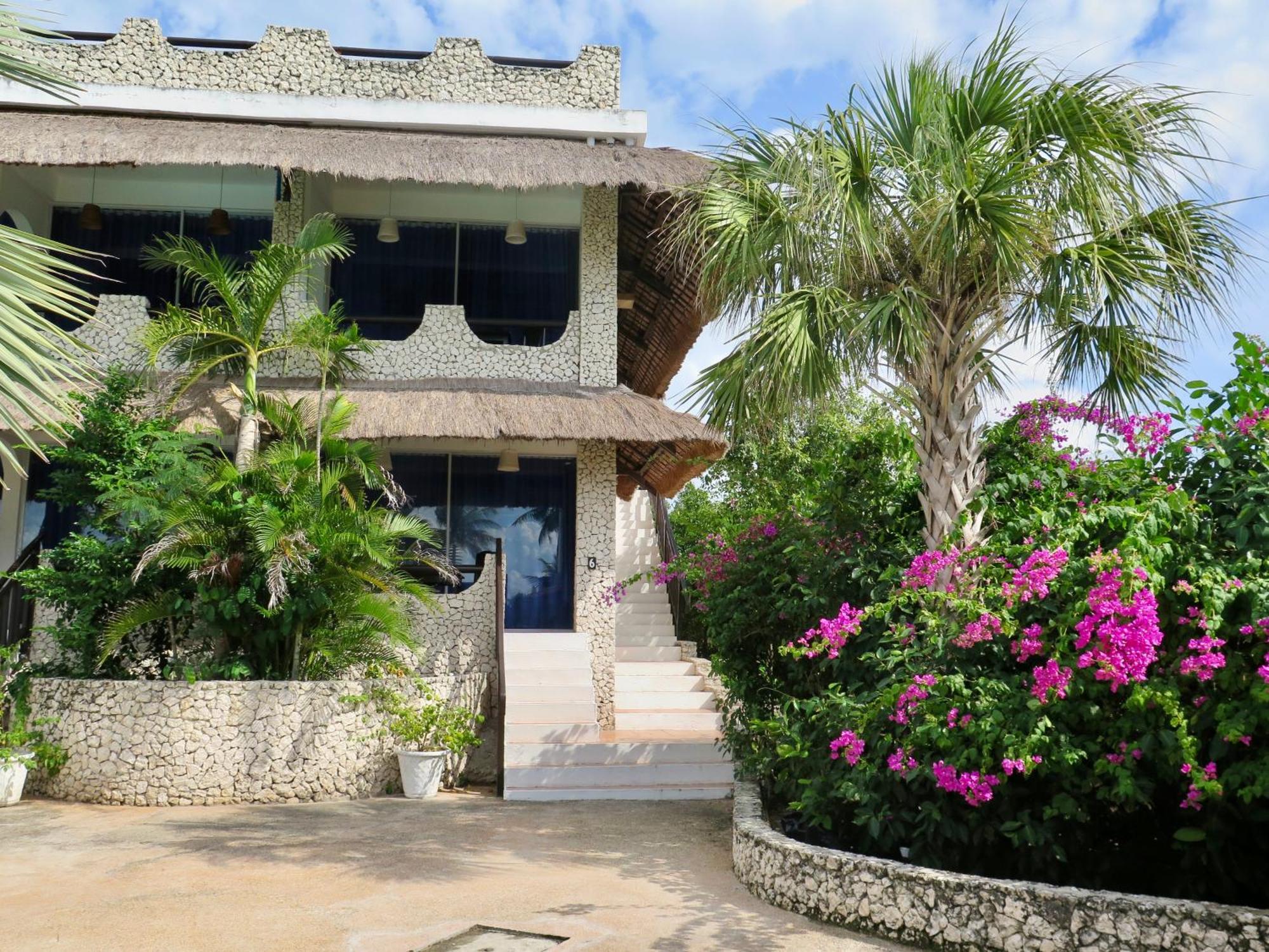 The Wild Orchid Resort - Moalboal Εξωτερικό φωτογραφία