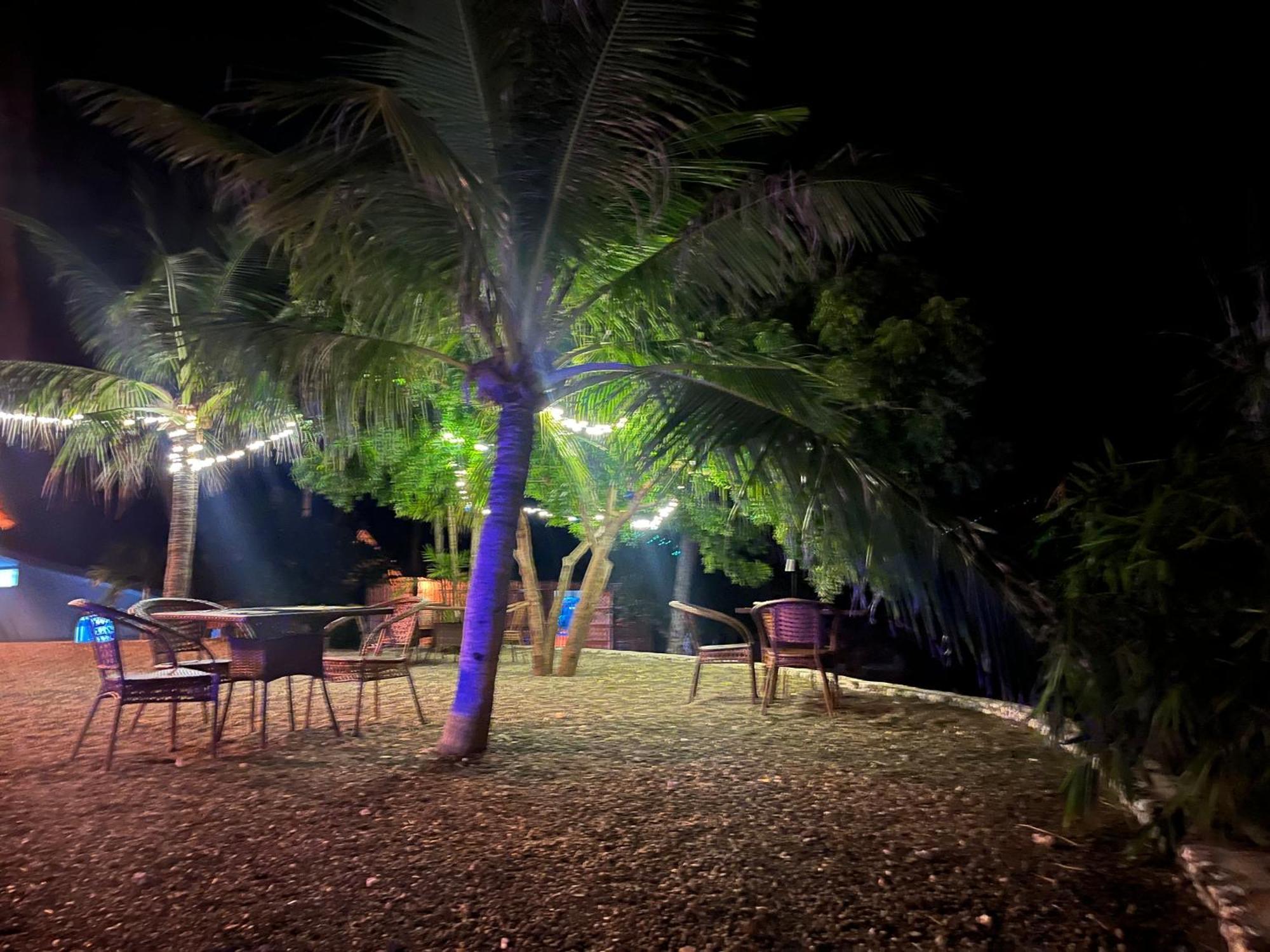 The Wild Orchid Resort - Moalboal Εξωτερικό φωτογραφία