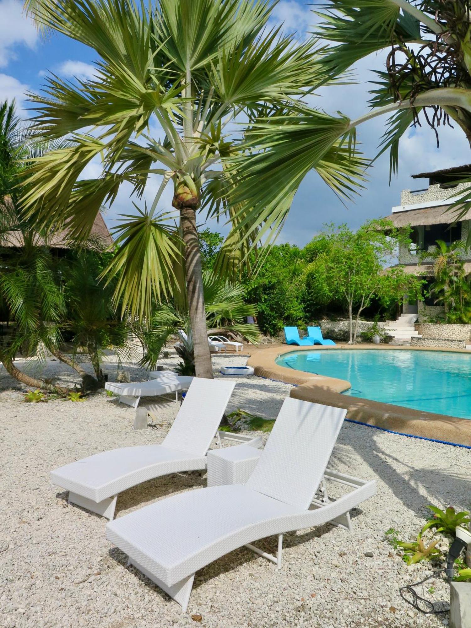 The Wild Orchid Resort - Moalboal Εξωτερικό φωτογραφία