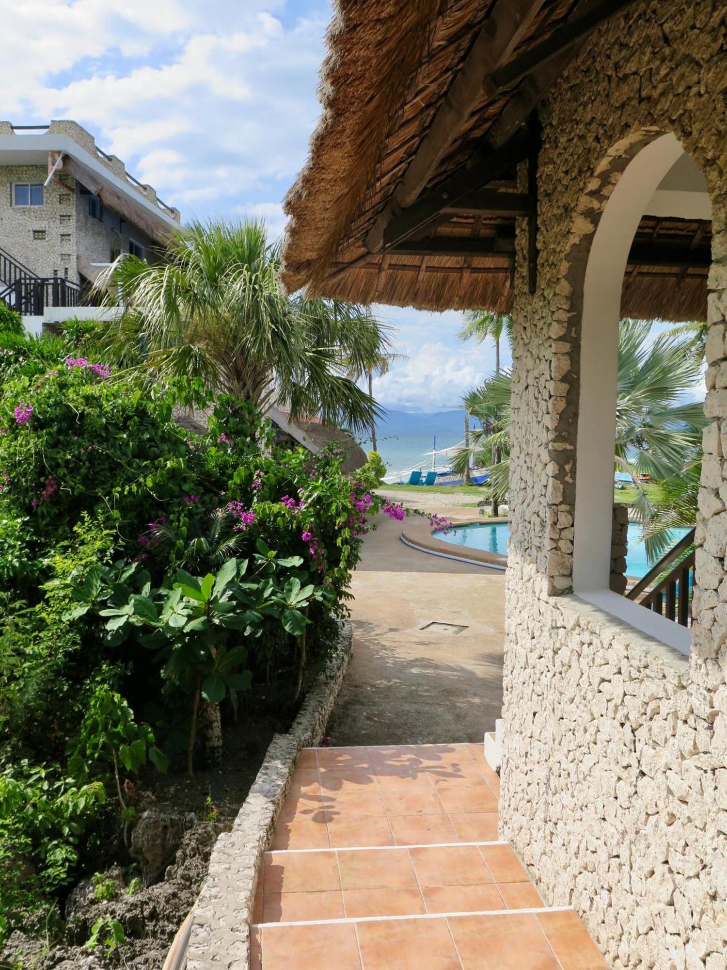 The Wild Orchid Resort - Moalboal Εξωτερικό φωτογραφία